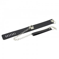 Leather Collar with leash