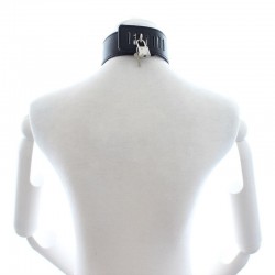 Leather Collar with leash