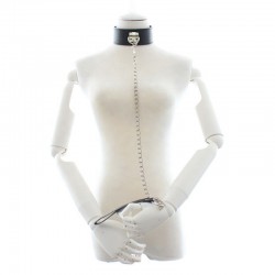 Leather Collar with leash