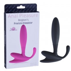 Anal Pleasure Beginner’s...