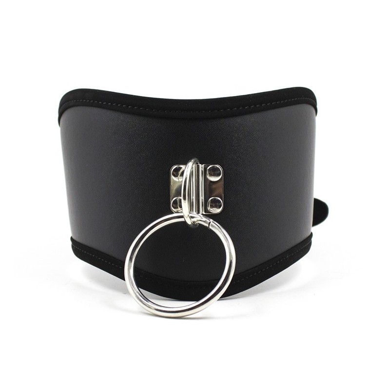 Leather Collar with ring & buckle