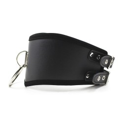 Leather Collar with ring & buckle