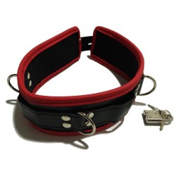 Leather Collar