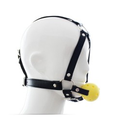 Ball Gag Harness