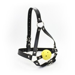 Ball Gag Harness